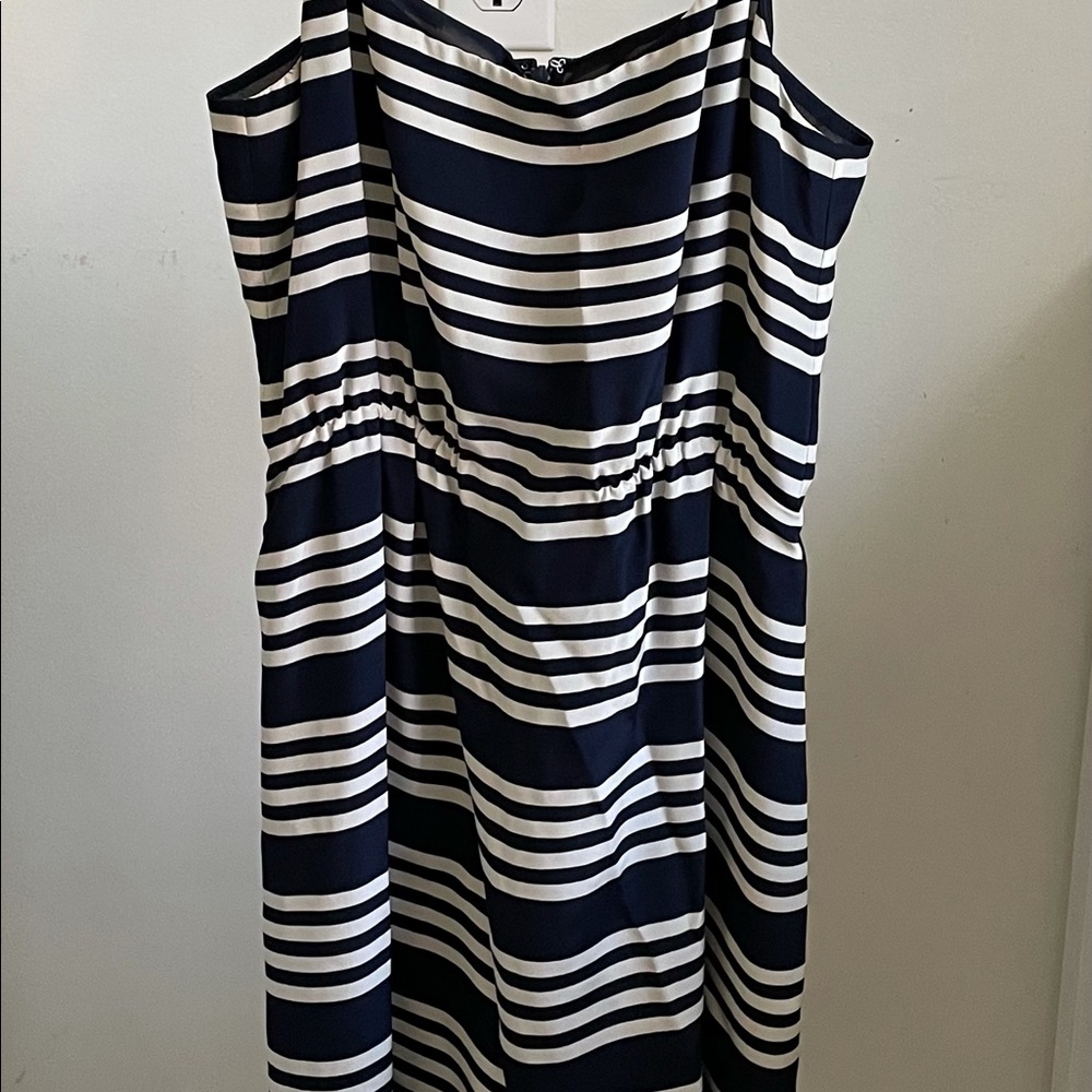 J Crew Dress